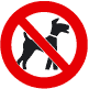 Koeraga sisenemise keeld