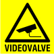 Videovalve